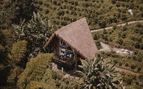 Attraversiamo Bamboo House